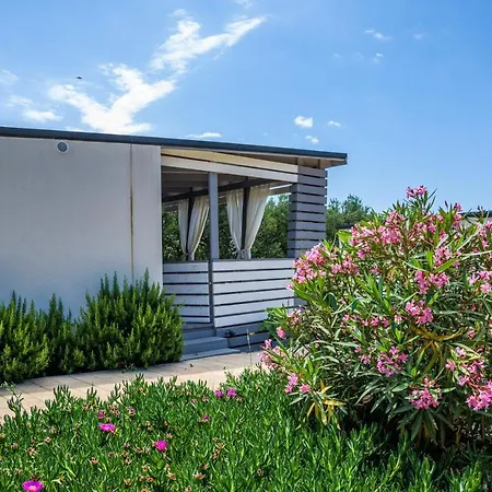 Rasin Mobile Homes