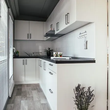 Rasin Mobile Homes *