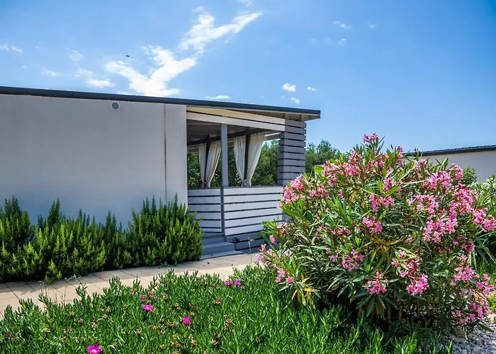 Rasin Mobile Homes